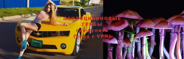 амф Володарск