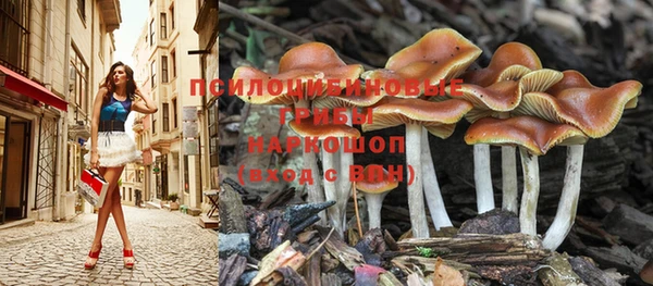 шишки Вязьма