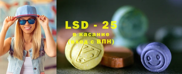 амф Вяземский