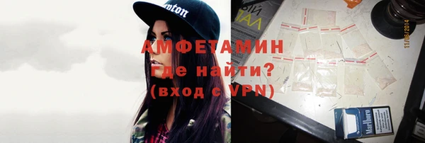 амф Вяземский