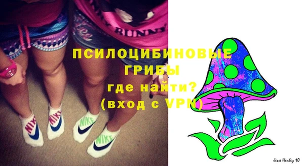 амф Вяземский