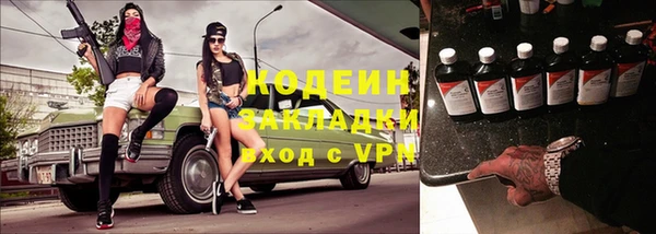 амф Вяземский