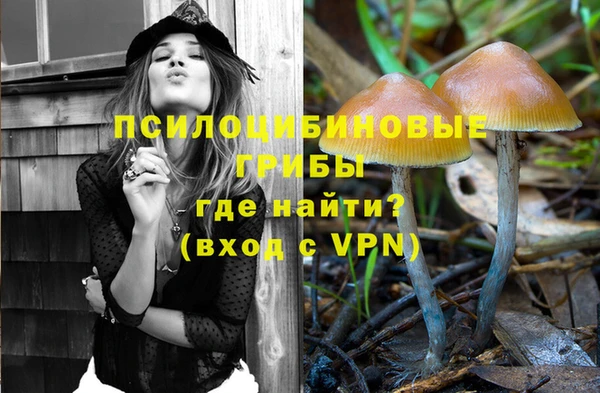 шишки Вязьма