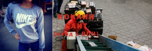 шишки Вязьма
