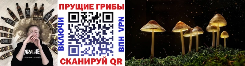 Галлюциногенные грибы Magic Shrooms  кракен ссылки  Вышний Волочёк  дарнет шоп 